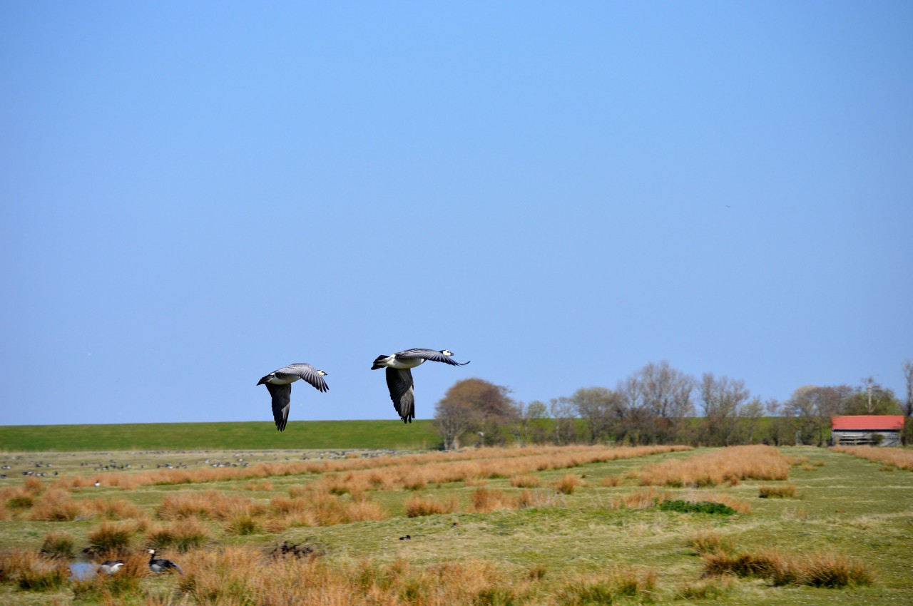 north-sea-2018725_1920