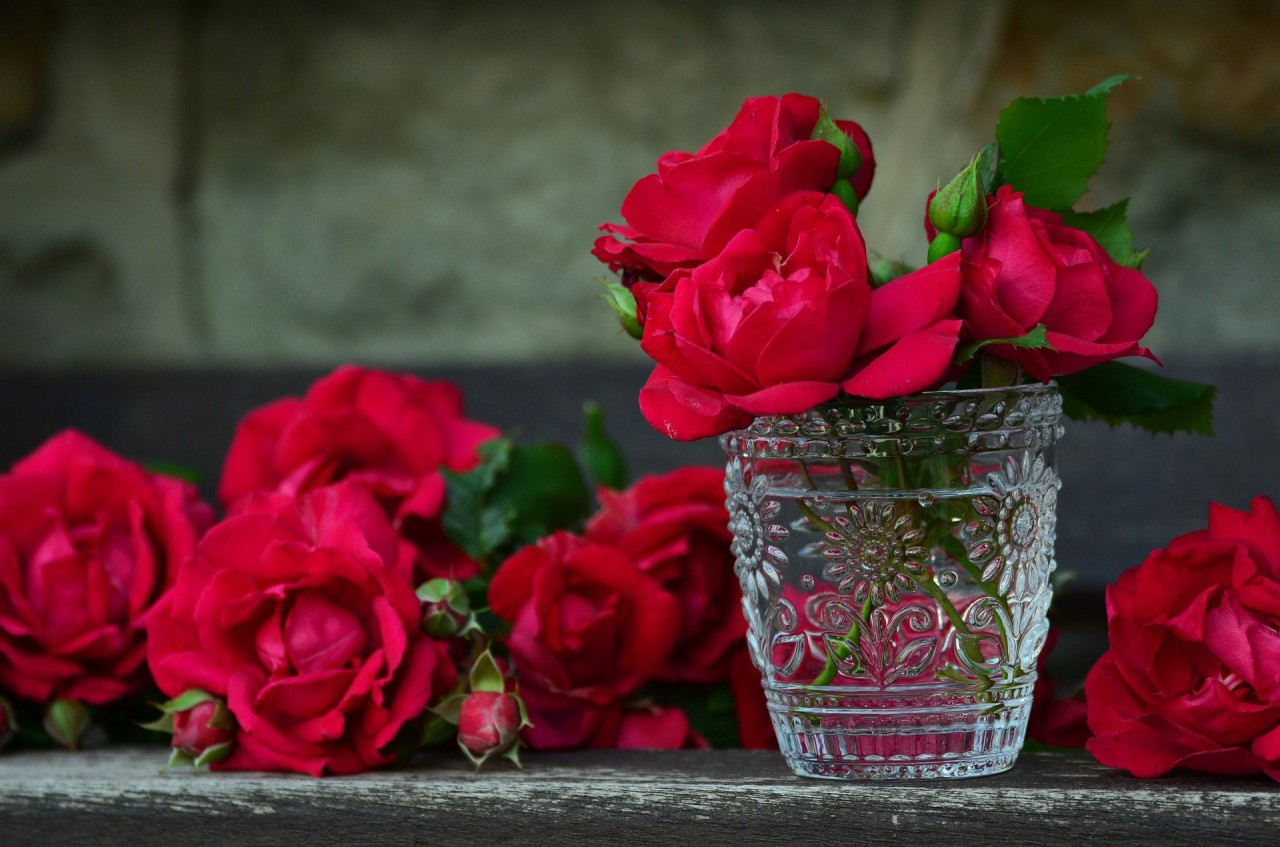 roses-g6f9415d8e_1920