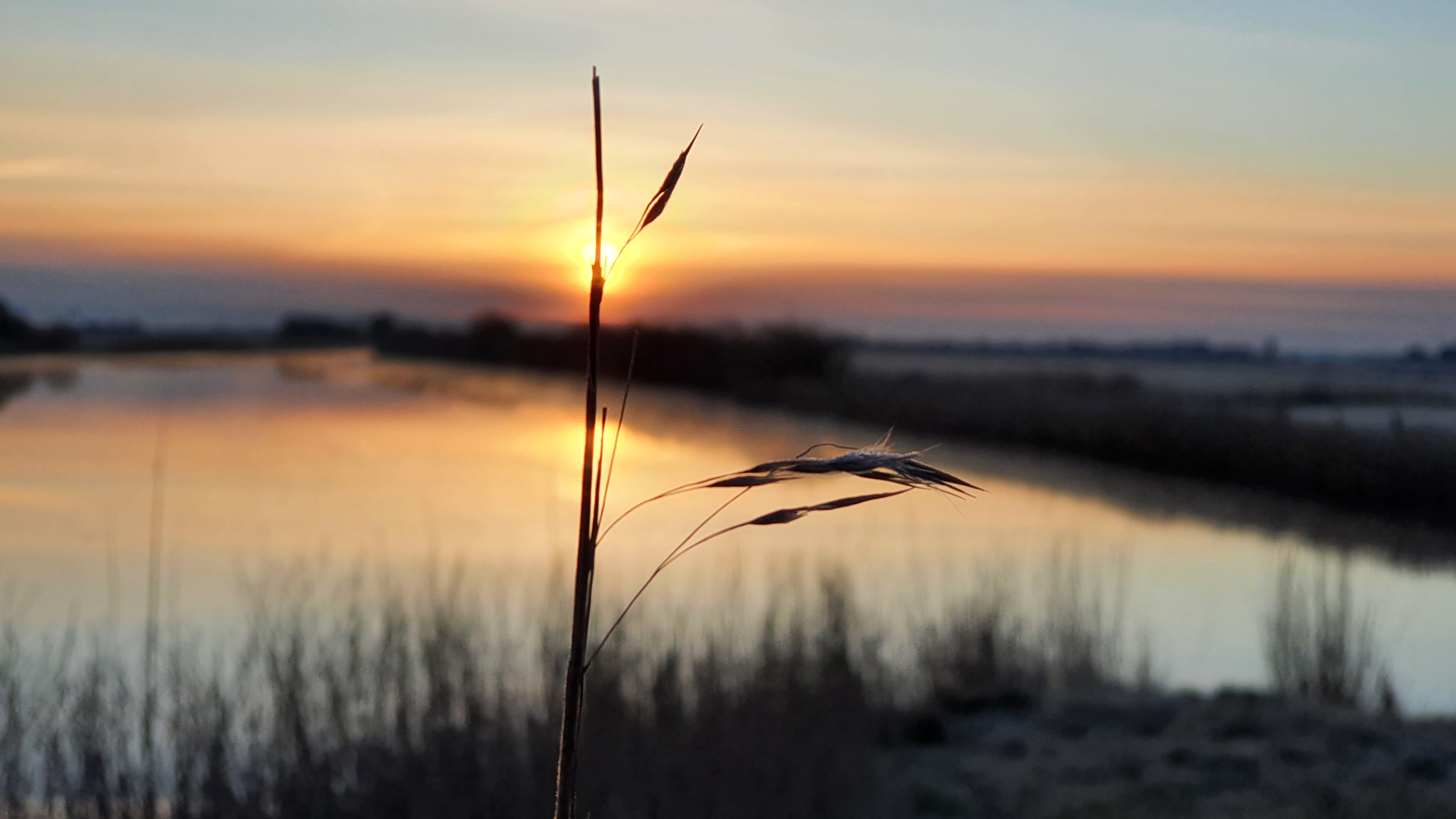 Abendbild mit Grashalm Geistliches Wort 2021 05 07 WG